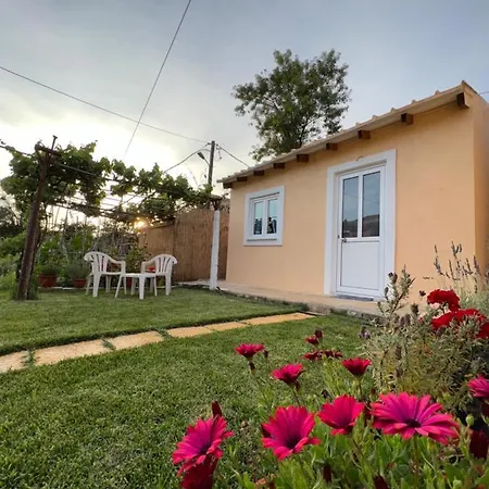 Hébergement de vacances Vasiliki Little House Kanoni (Corfu)